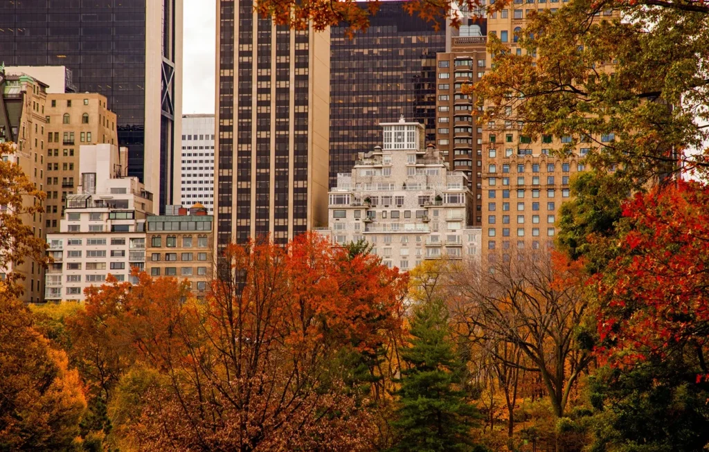 Close-up landscape shot of NYC apartment buildings behind trees.